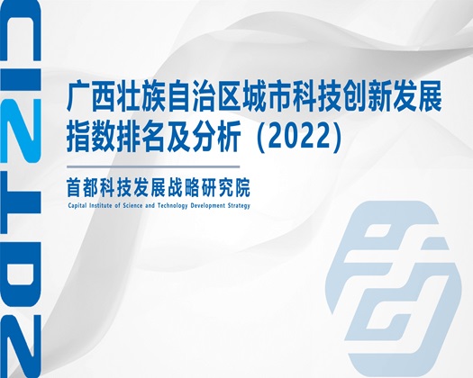 黄网变态美女操逼【成果发布】广西壮族自治区城市科技创新发展指数排名及分析（2022）